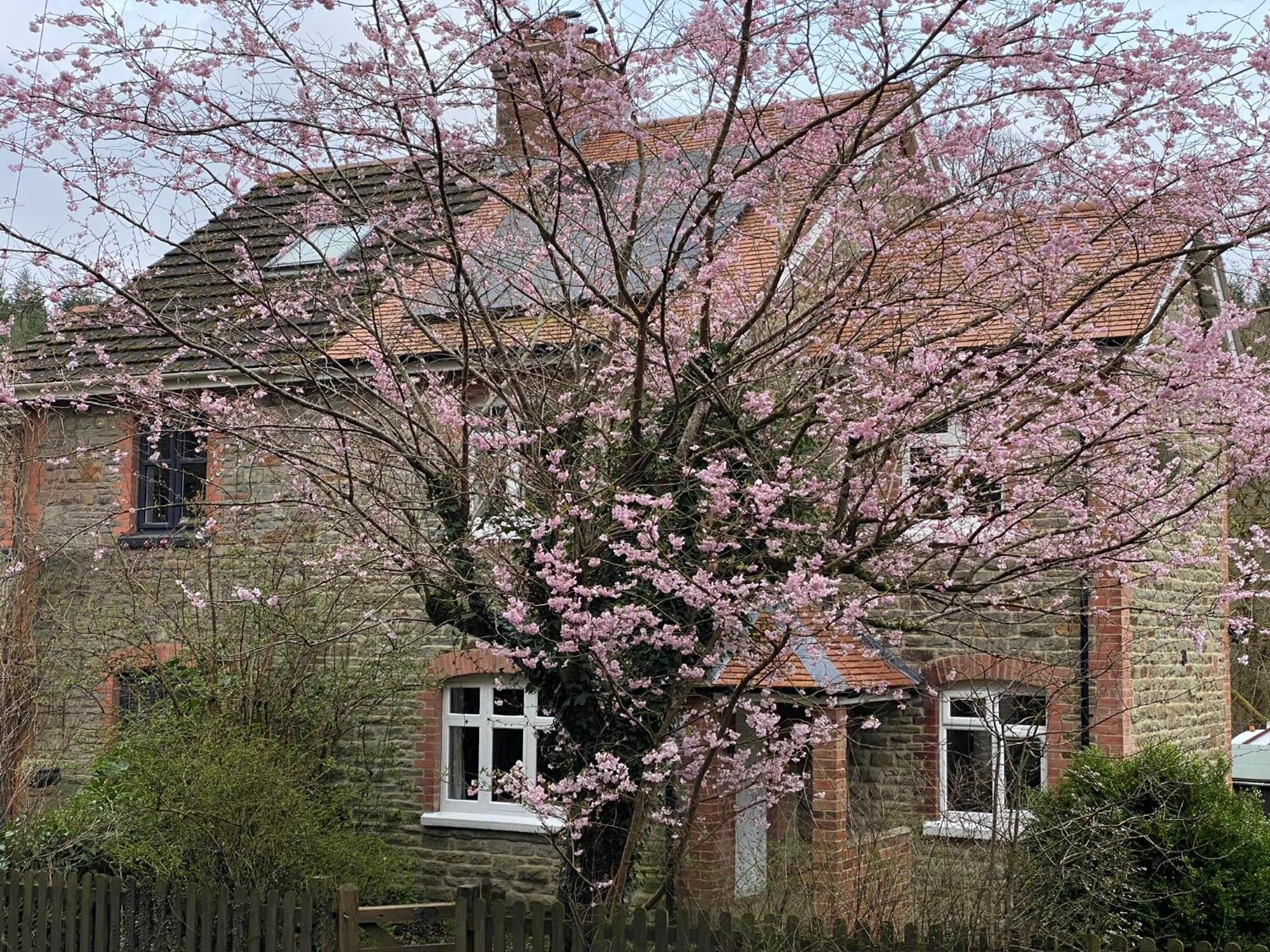 Willow Cottage Longney Экстерьер фото